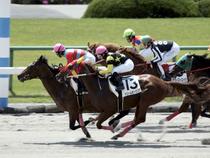 未勝利優勝 ドリームセーリング