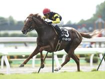 7月24日函館　松前特別 ドリームセーリング