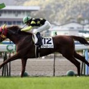 12月18日小倉500万下から1000万に勝ち上がり