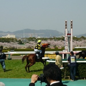 阪神競馬・白鷺特別