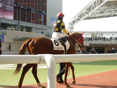 2才未勝利戦 ドリームセーリング