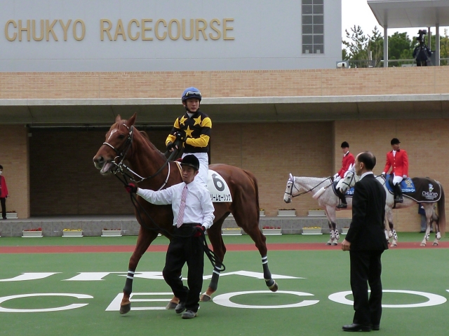 障害未勝利 ドリームセーリング