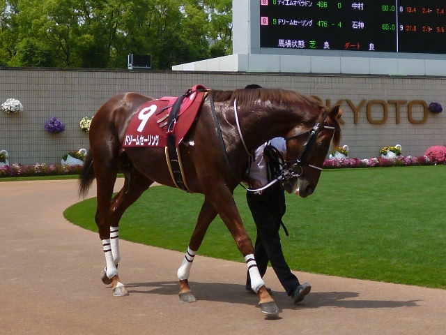 京都ハイジャンプ ドリームセーリング