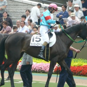 2009/06/13東京1R　　  マイストロベリー初出走