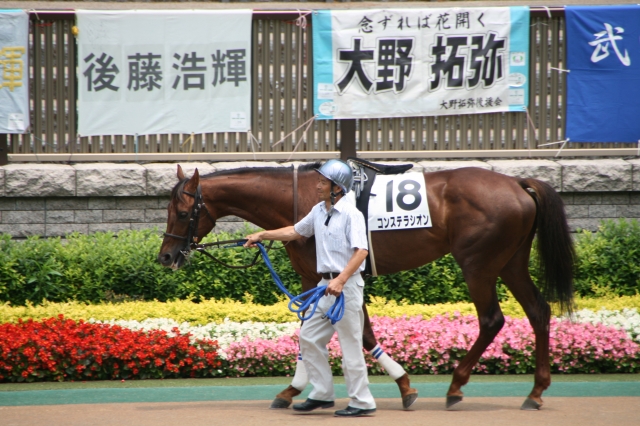 6月13日東京4Rパドック‐1 コンステラシオン