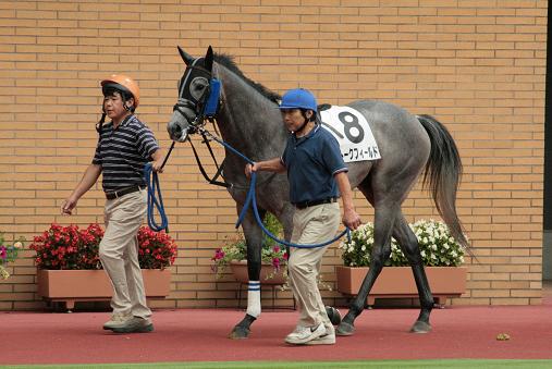 9/5 新潟競馬２Ｒ ストークフィールド