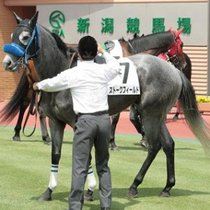5/22　新潟競馬第３Ｒ