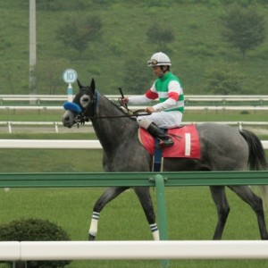 8/2 盛岡競馬第８Ｒ　ターコイズ賞