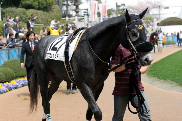 2010/04/11 中山3R チタニウムヘッド