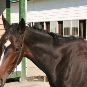 目名共同トレーニングセンター