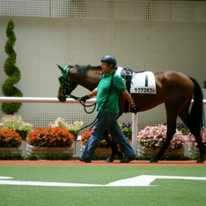 ラヴアズギフトメイクデビュー阪神１