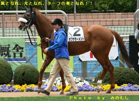 ２０１０．０３．２１中山６Ｒ　デビュー戦のパドック オブザモーメント