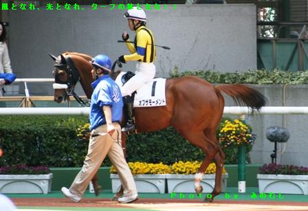 ２０１０．０４．２５福島４Ｒ　２戦目のパドック オブザモーメント