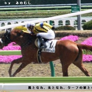 ２戦目のゴール前