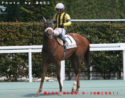 レース直後（後検量室前で） オブザモーメント