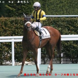 レース直後（後検量室前で）