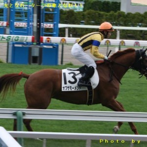 ３戦目の返し馬