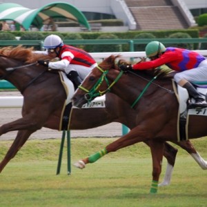 9/26中山２R　未勝利戦　最後の直線