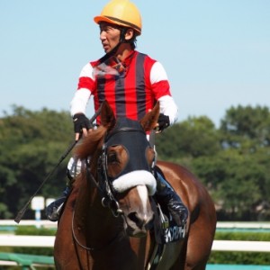 彦星賞レース後