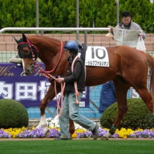 優勝！中山未勝利戦～パドック