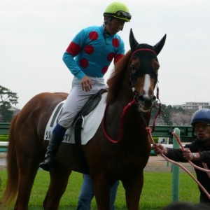 優勝！中山未勝利戦～ゴール後の様子