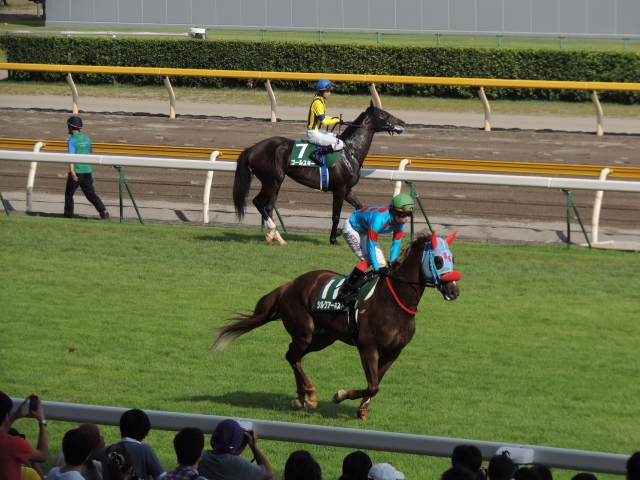 関屋記念(G3)返し馬 シルクアーネスト