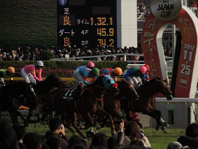 キャピタルステークス ゴール2着 シルクアーネスト