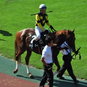 2010.08.21新潟11R長岡ステークス　パドック2