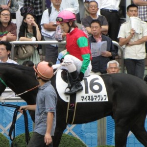 4戦目中山競馬場にて