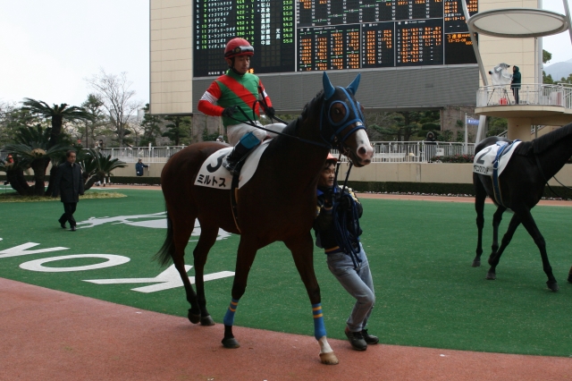 12/26　小倉5R　牝馬・500万下 ミルトス