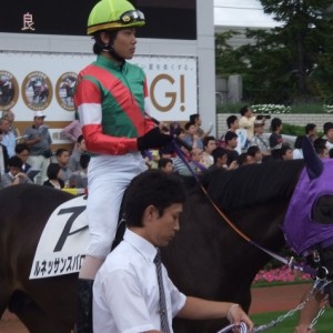 デビュー戦・パドック（三浦騎手）