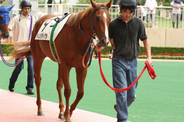 H21.07.25 小倉4R新馬戦 パドック オレンジティアラ