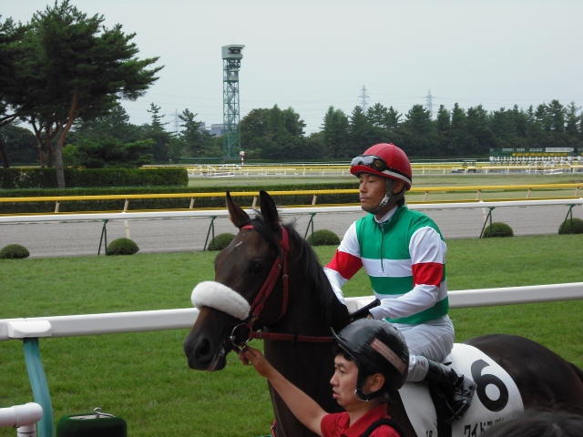 2戦目　新潟未勝利 ワイドスプレッド