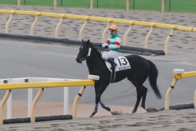 10月24日新馬戦 メインカレント