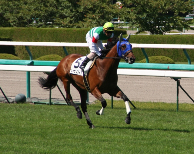 500万条件返し馬 レイナソフィア