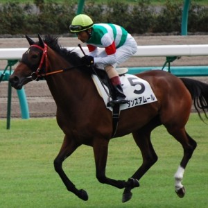新馬戦