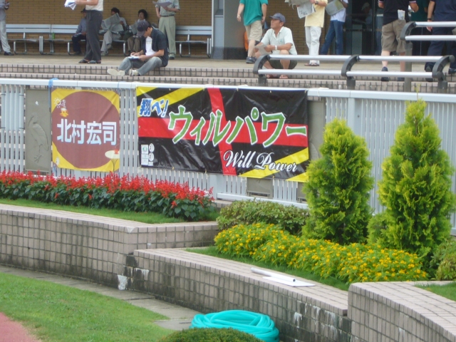 新潟寺泊特別 ウィルパワー