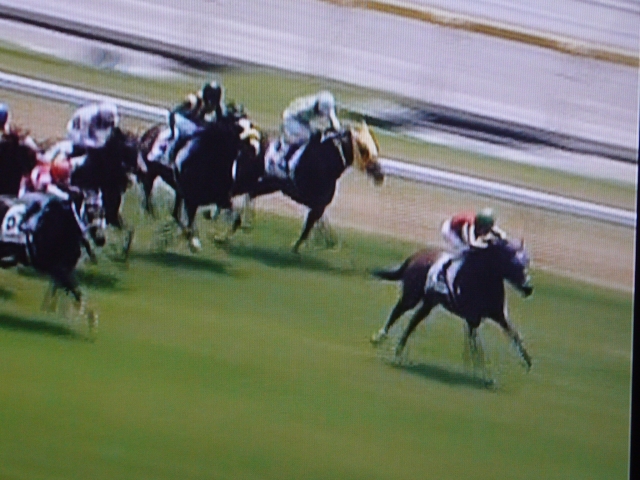 東京初勝利 ウィルパワー