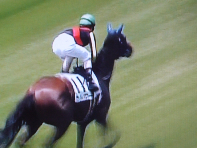 初勝利東京 ウィルパワー