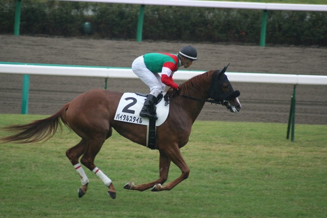 ４回中山７日目２Ｒ バイタルスタイル