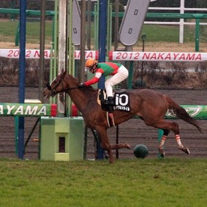 鎌ヶ谷特別