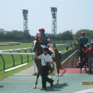 新馬⑤