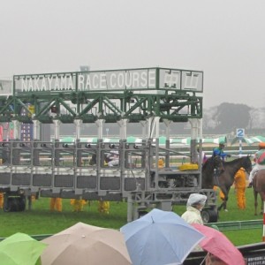 雨空。