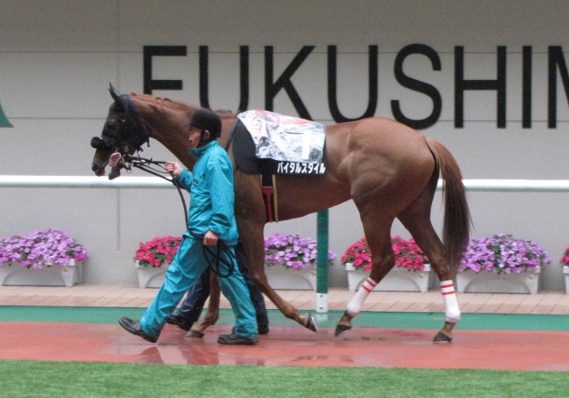 阿武隈ステークスパドック バイタルスタイル
