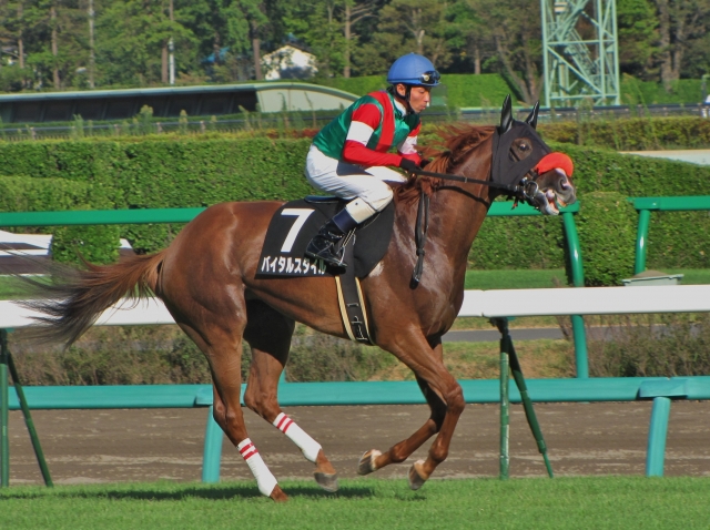 レインボーステークス返し馬 バイタルスタイル