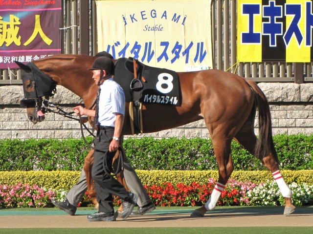 甲斐路ステークスパドック バイタルスタイル
