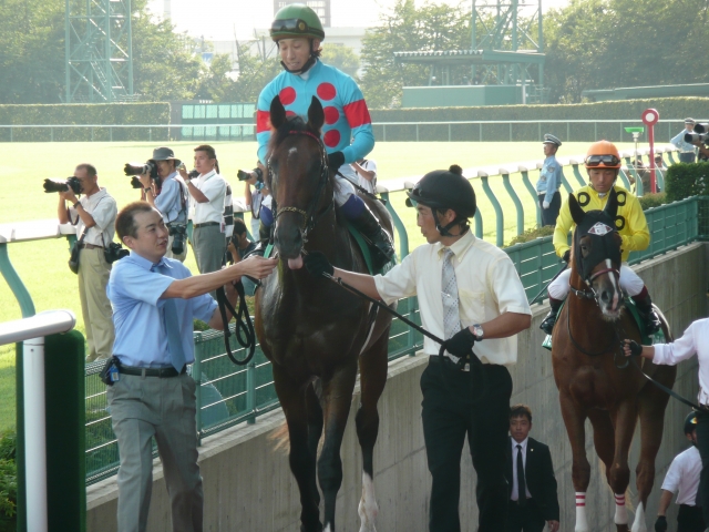 新潟２歳Ｓ　馬場入り シルクフィーリング