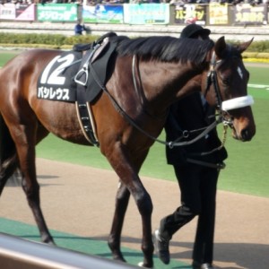 1回 東京 8日 セントポーリア賞