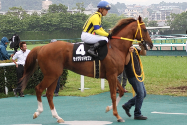 2013/6/23 尼崎S セイクリッドセブン