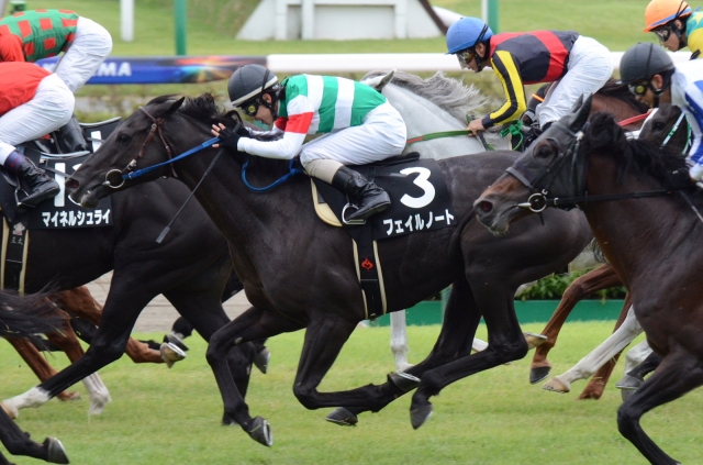 習志野特別 フェイルノート